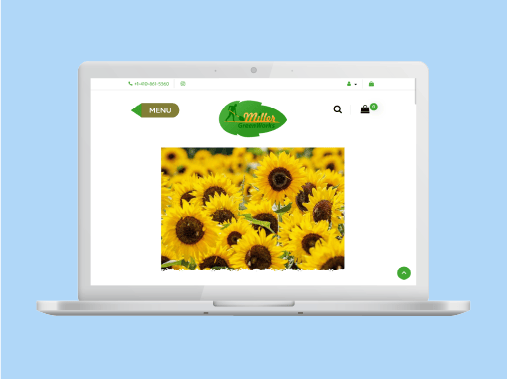 Miller green banner